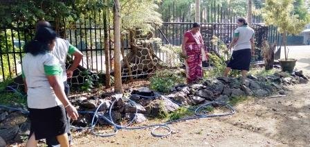 Home gardening program implemented in the office premises